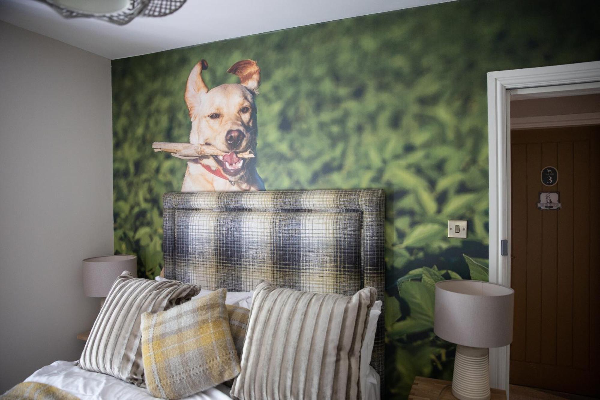 The Dog In Over Peover นัตส์ฟอร์ด ภายนอก รูปภาพ